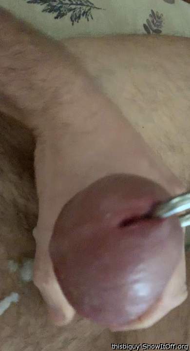 Adult image from thisbiguy