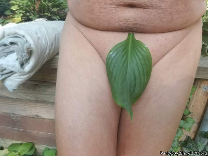 Adult image from Pantyboy