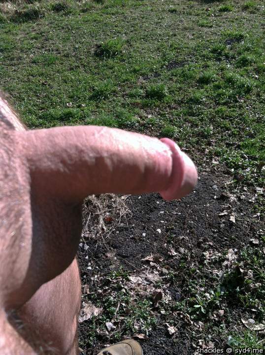 Adult image from shackles