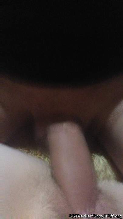 Adult image from SGTRecker