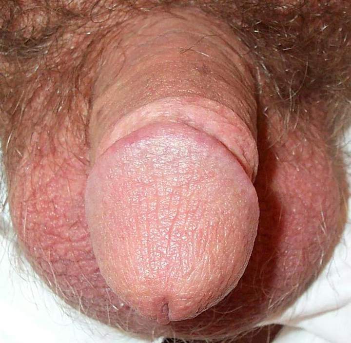 Adult image from lilsoftee