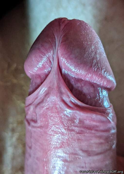 A beautiful frenulum I played with