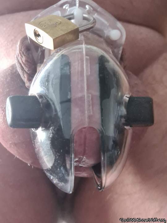 Adult image from Cbull66
