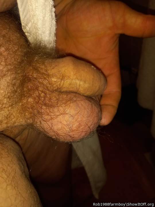 Adult image from Rob1988farmboy