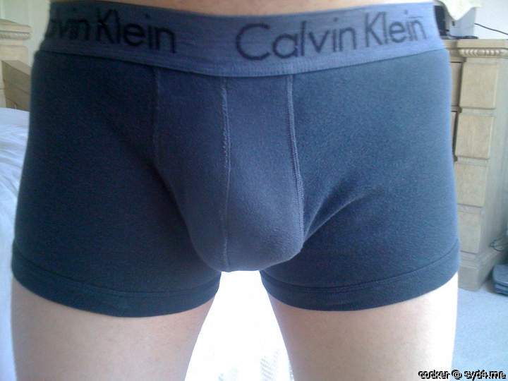 Adult image from cocker