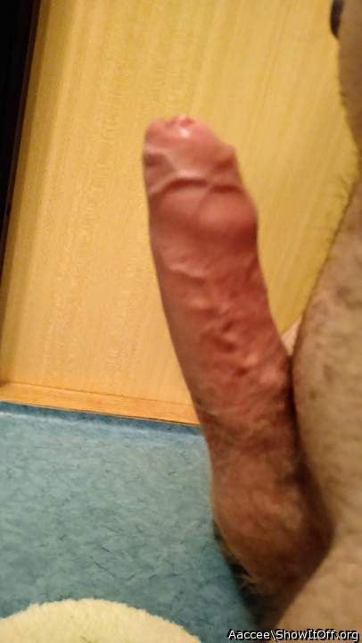 Adult image from Aaccee
