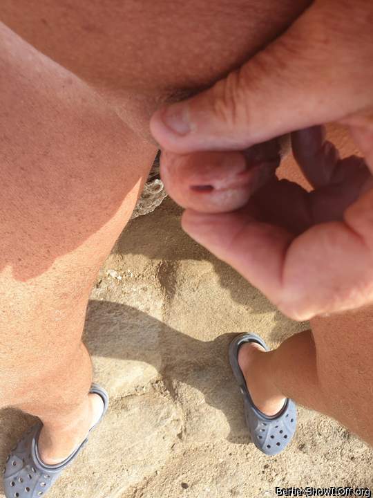 Adult image from Bertie