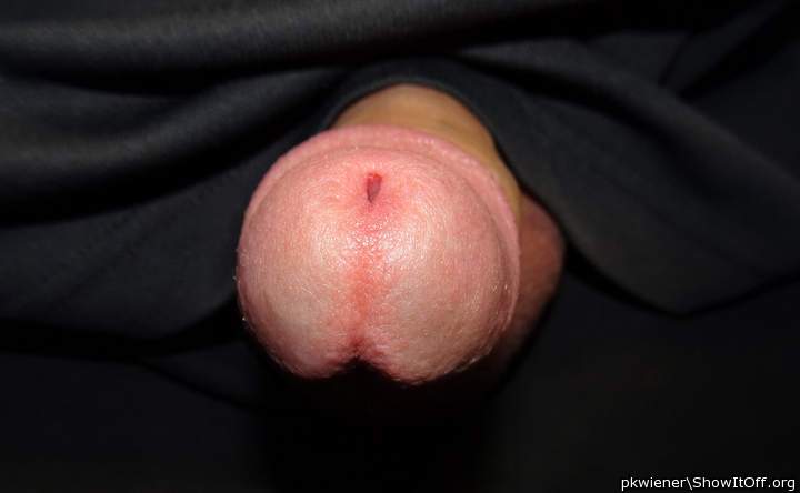 Adult image from pkwiener
