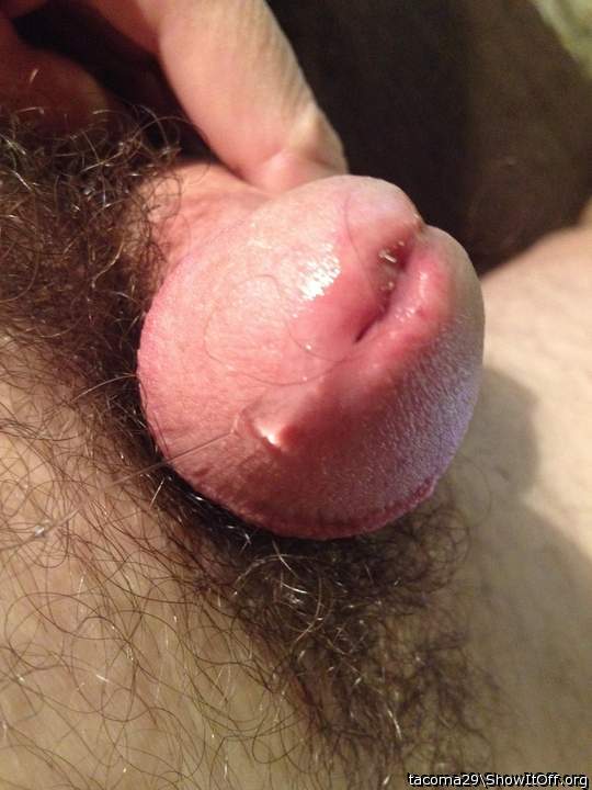 Please lick