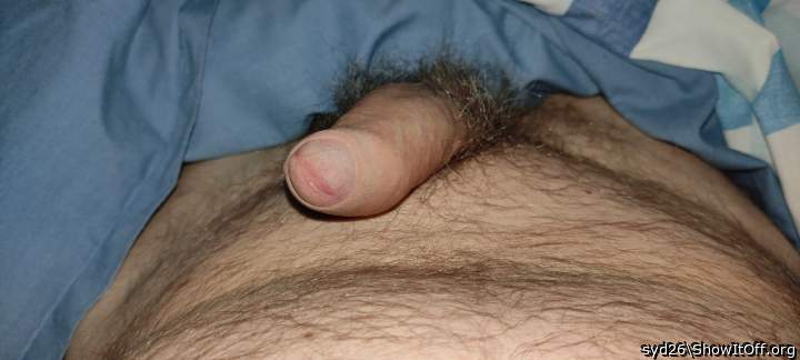 Adult image from syd26