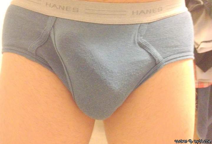Adult image from cocker