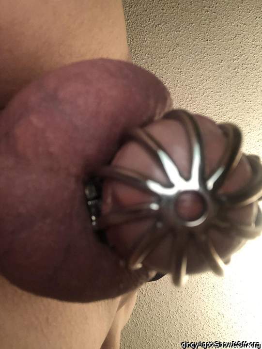Adult image from Gingy4got