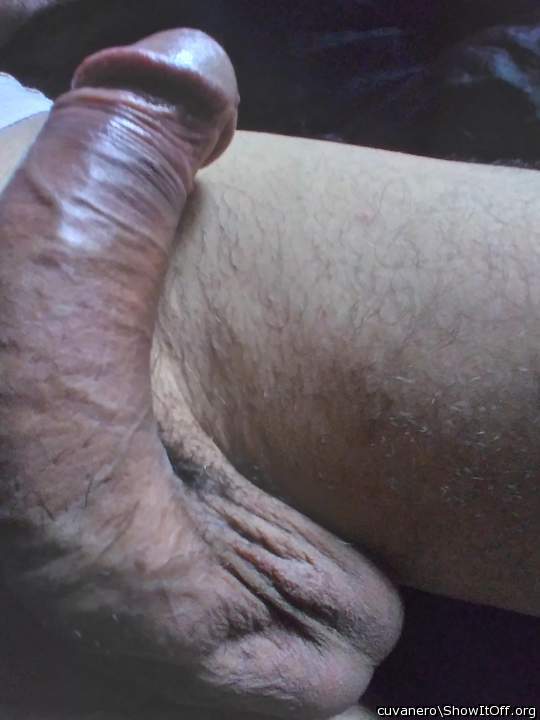 Adult image from cuvanero