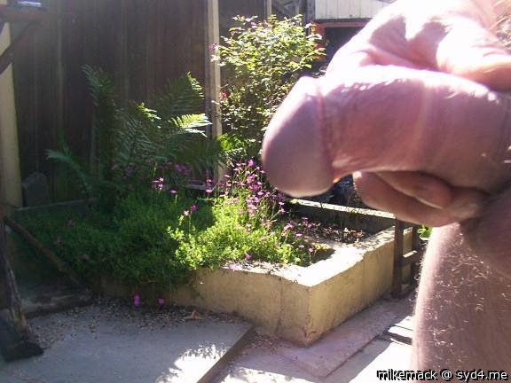 Beautiful cock!