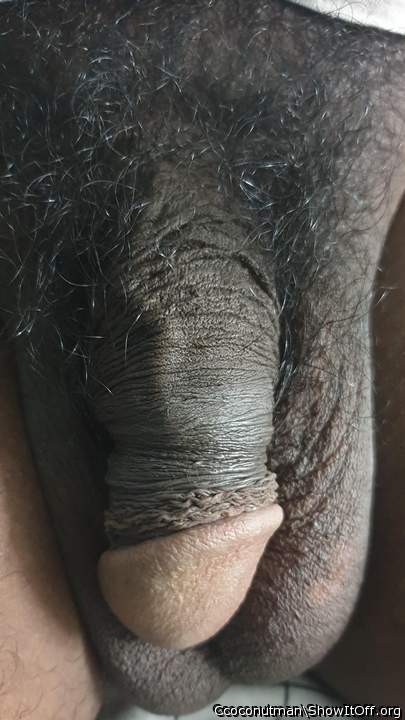 Adult image from Ccoconutman