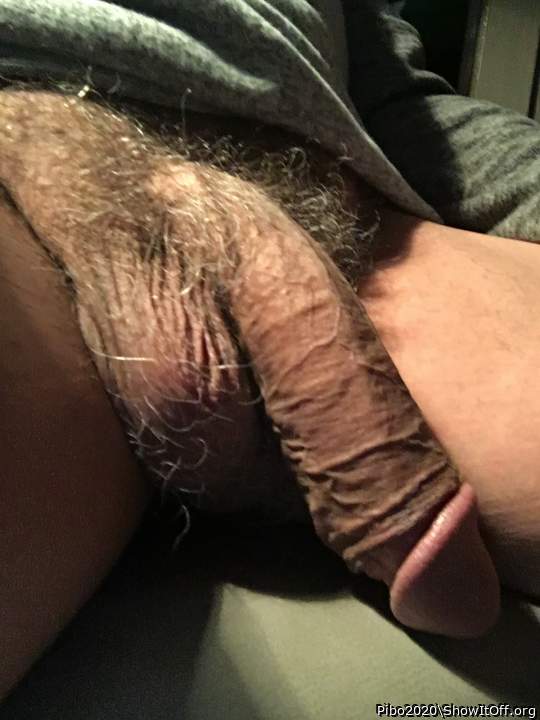 Adult image from Pibo2020