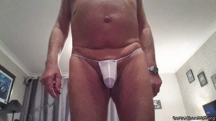 Adult image from Bertie