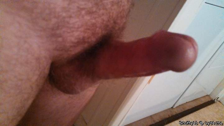 Adult image from Snuffy43