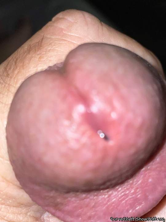 Adult image from Curved2left