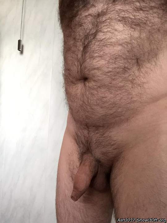 Adult image from Ash2017