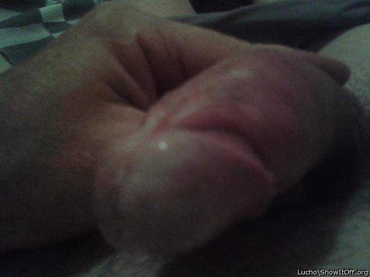 Adult image from Lucho