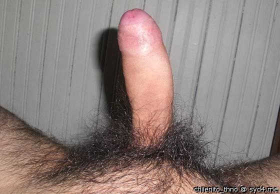 Adult image from chilenito_thno