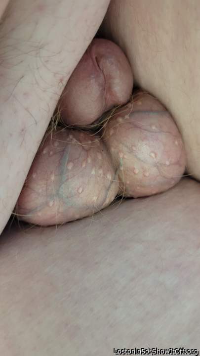 Adult image from Lostonln5o