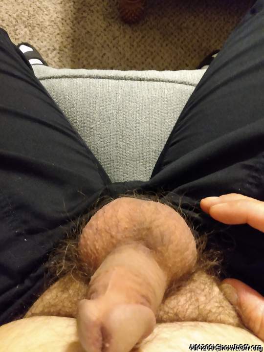 Adult image from Alf4269