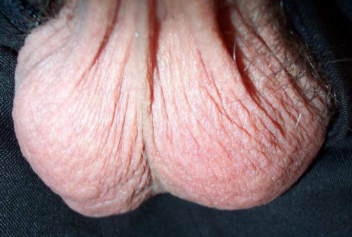 Adult image from lilsoftee