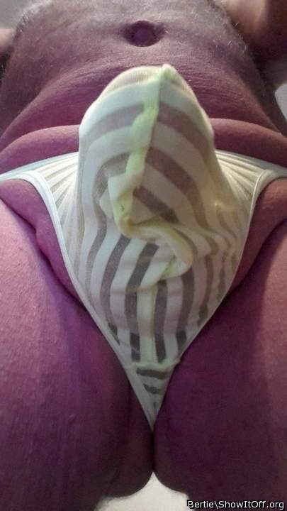 Adult image from Bertie