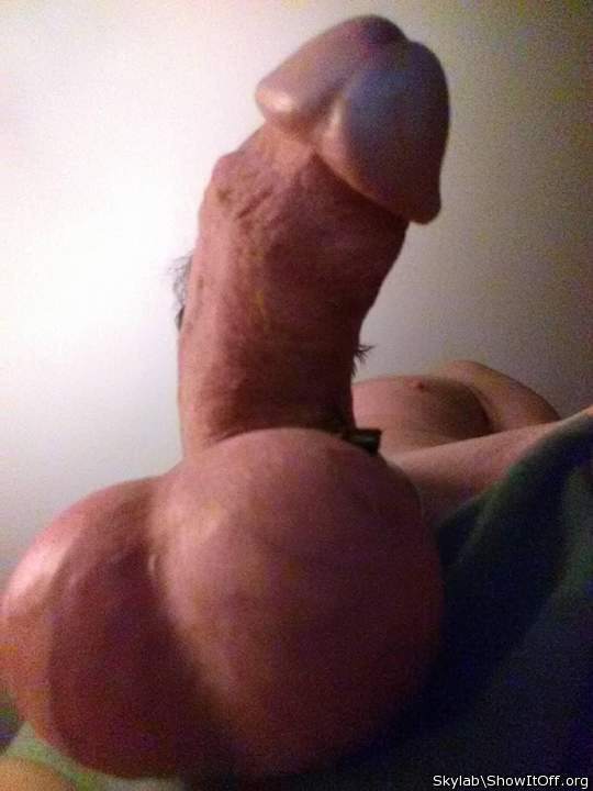 Adult image from Skylab