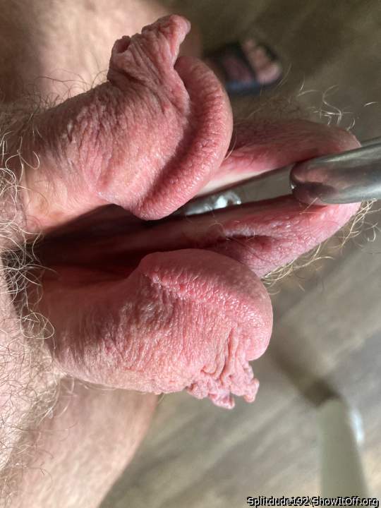 Adult image from Splitdude192