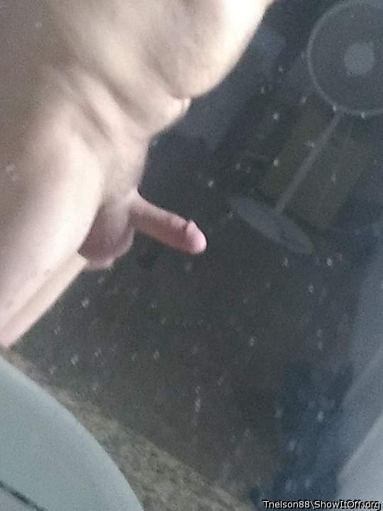 Adult image from Tnelson88