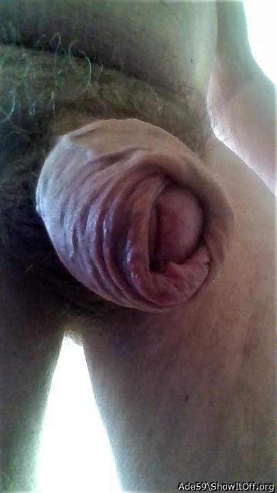 Adult image from Ade59