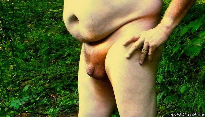 Adult image from Reid43