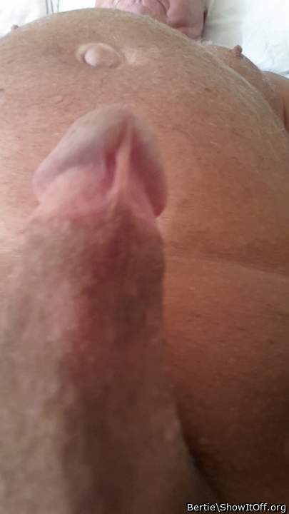 Adult image from Bertie