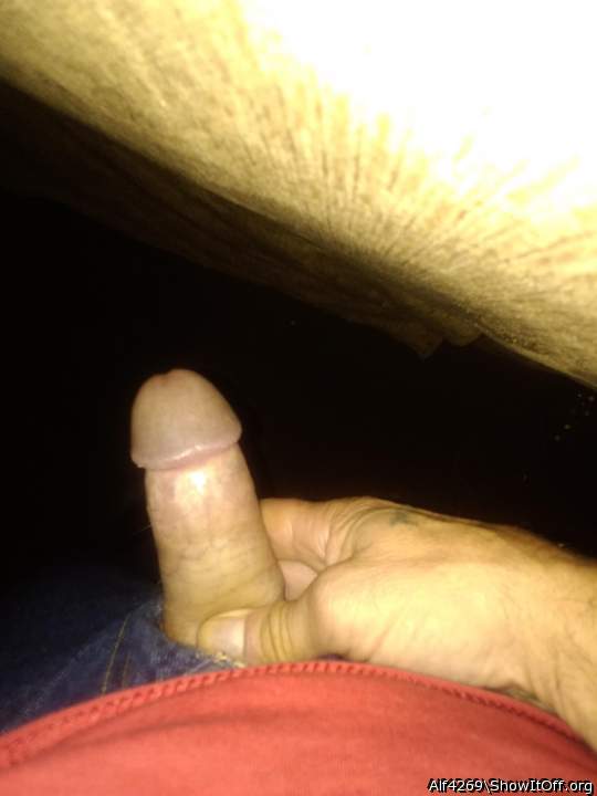Adult image from Alf4269