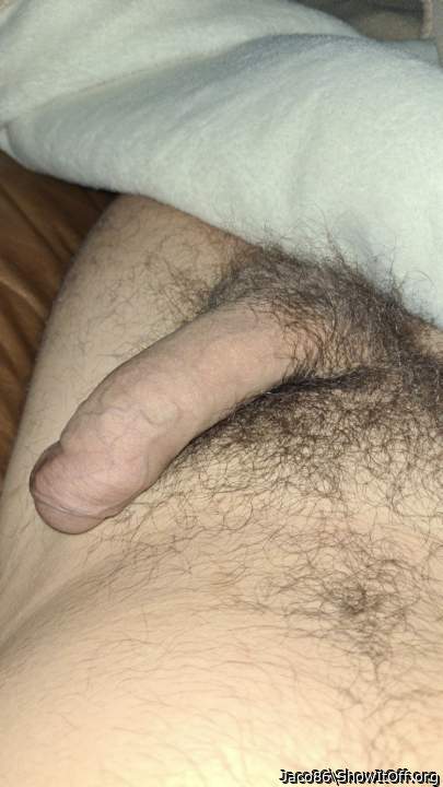 Adult image from Jaco86