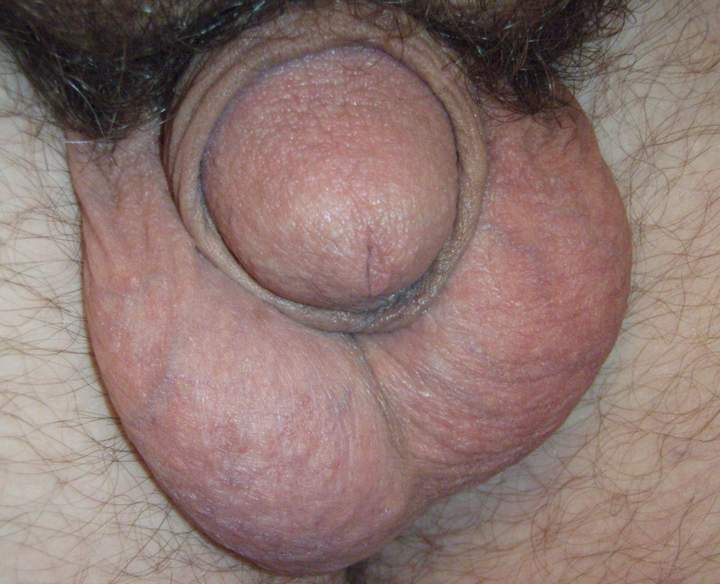 Adult image from lilsoftee