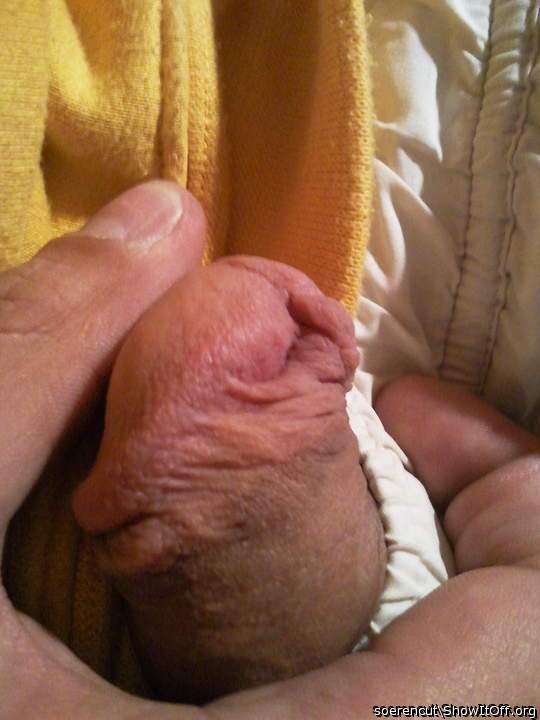 Adult image from Soerencut