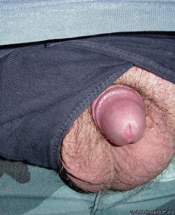 Adult image from chub39