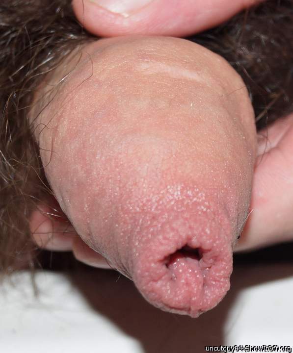 very nice uncut cock, Lovely    