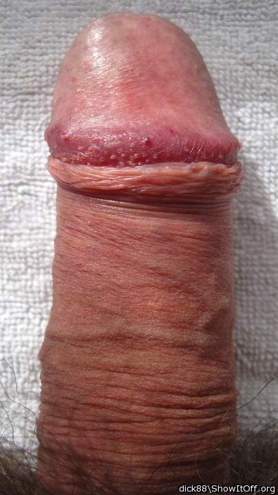 Adult image from Dick88