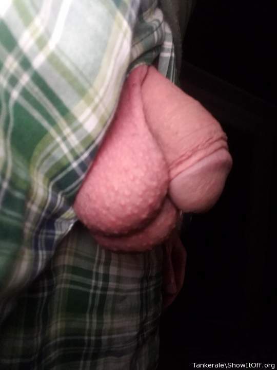 Adult image from Tankerale