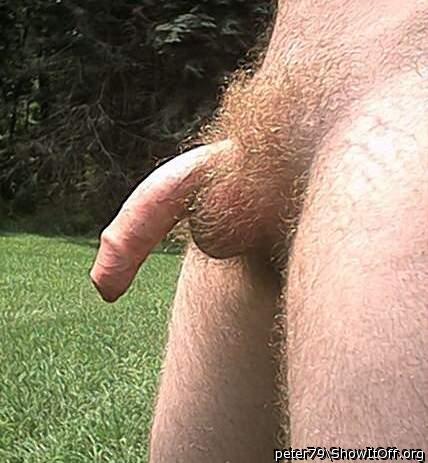 Adult image from peter79