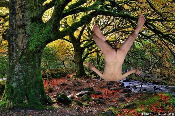 Hanged by balls