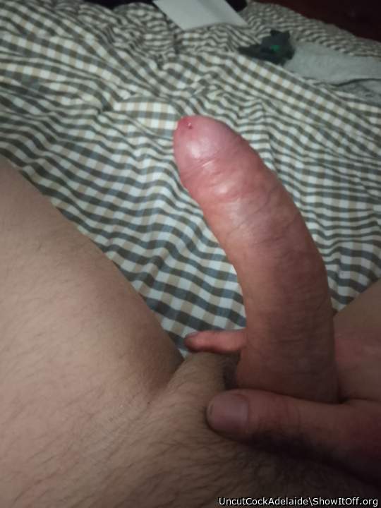 Adult image from UncutCockAdelaide