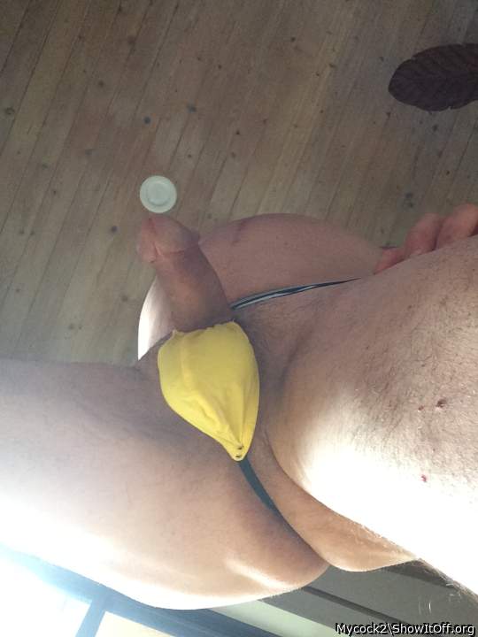 Adult image from Mycock2