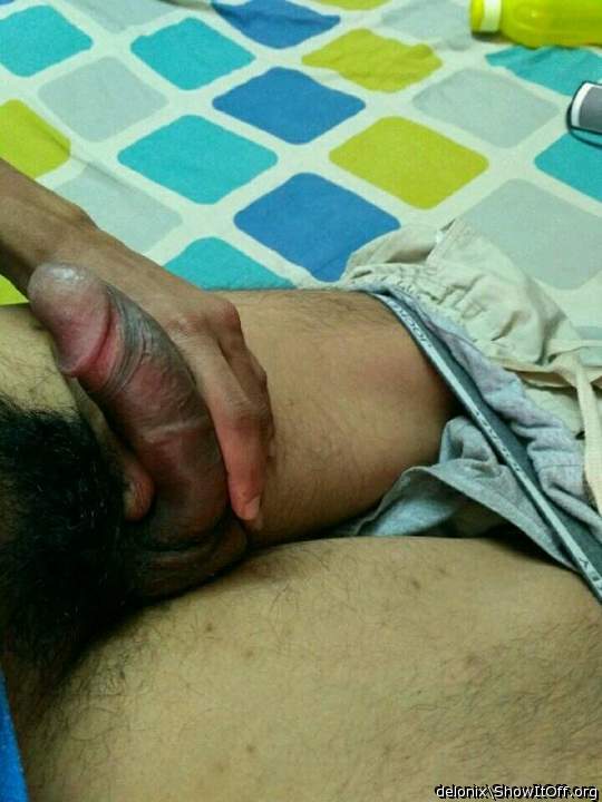 Adult image from Delonix