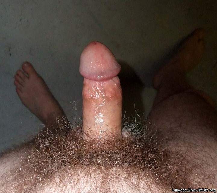 Adult image from billycat